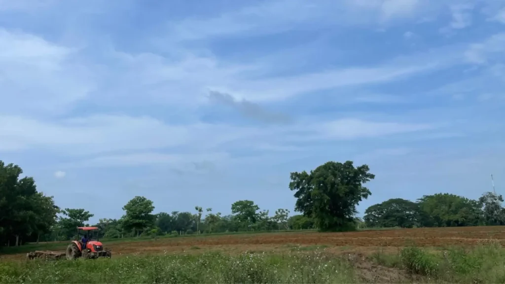 Seguridad y productividad en el sector agropecuario en Colombia